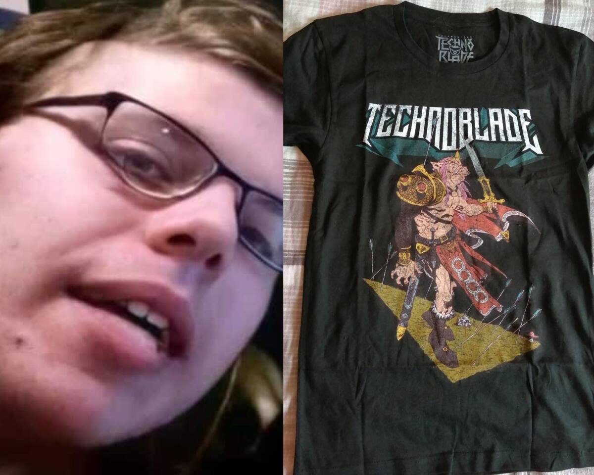 The Best Way to Slap Down A Technoblade Merch